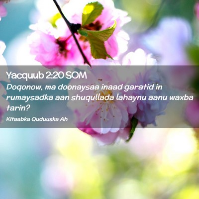 Picture 02 - Yacquub 2:20 SOM - Doqonow, ma doonaysaa inaad garatid in rumaysadka - Bible Verse Picture