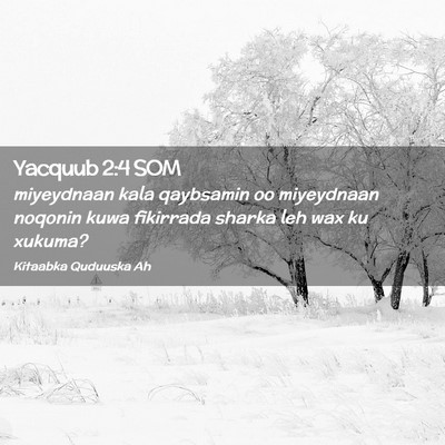 Picture 02 - Yacquub 2:4 SOM - miyeydnaan kala qaybsamin oo miyeydnaan noqonin - Bible Verse Picture