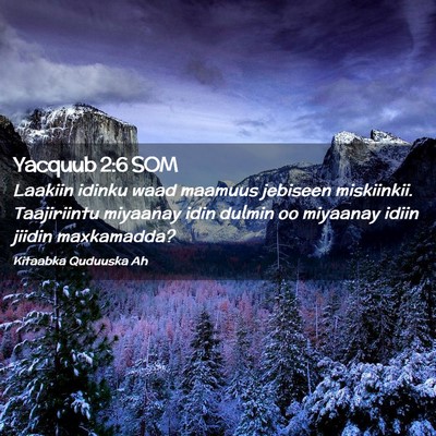 Picture 02 - Yacquub 2:6 SOM - Laakiin idinku waad maamuus jebiseen miskiinkii. - Bible Verse Picture