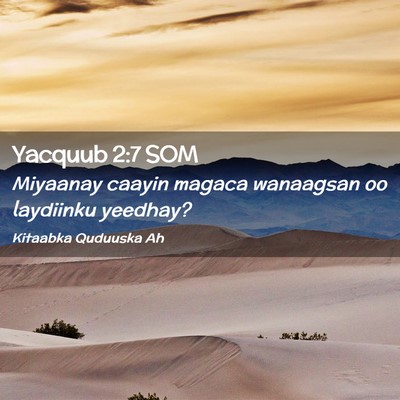 Picture 02 - Yacquub 2:7 SOM - Miyaanay caayin magaca wanaagsan oo laydiinku - Bible Verse Picture