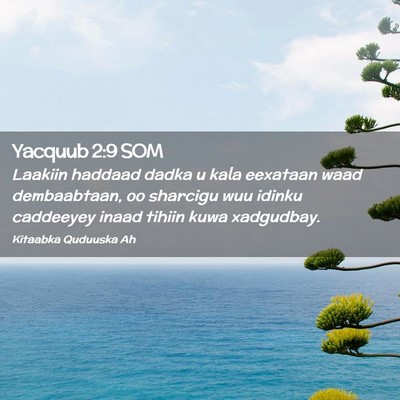 Picture 02 - Yacquub 2:9 SOM - Laakiin haddaad dadka u kala eexataan waad - Bible Verse Picture