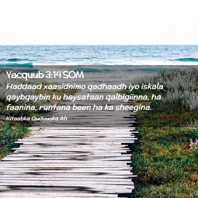 Picture 02 - Yacquub 3:14 SOM - Haddaad xaasidnimo qadhaadh iyo iskala qaybqaybin - Bible Verse Picture