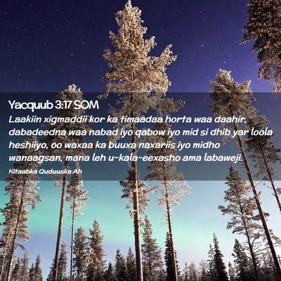 Picture 02 - Yacquub 3:17 SOM - Laakiin xigmaddii kor ka timaadaa horta waa - Bible Verse Picture