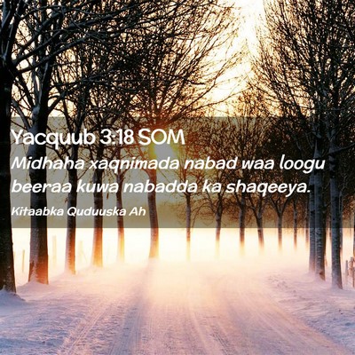 Picture 02 - Yacquub 3:18 SOM - Midhaha xaqnimada nabad waa loogu beeraa kuwa - Bible Verse Picture