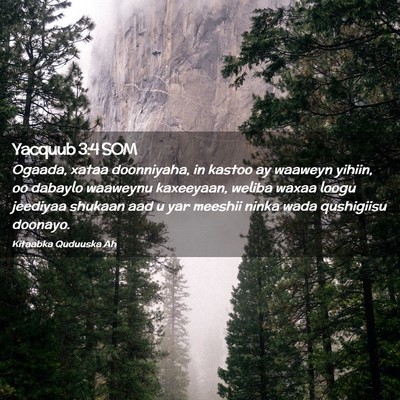 Picture 02 - Yacquub 3:4 SOM - Ogaada, xataa doonniyaha, in kastoo ay waaweyn - Bible Verse Picture