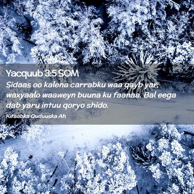 Picture 02 - Yacquub 3:5 SOM - Sidaas oo kalena carrabku waa qayb yar, waxyaalo - Bible Verse Picture