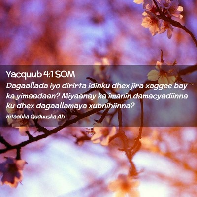 Picture 02 - Yacquub 4:1 SOM - Dagaallada iyo dirirta idinku dhex jira xaggee - Bible Verse Picture