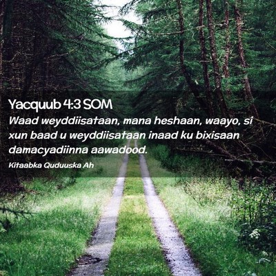 Picture 02 - Yacquub 4:3 SOM - Waad weyddiisataan, mana heshaan, waayo, si xun - Bible Verse Picture