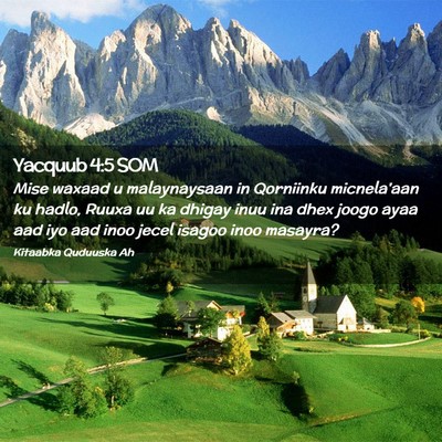 Picture 02 - Yacquub 4:5 SOM - Mise waxaad u malaynaysaan in Qorniinku - Bible Verse Picture