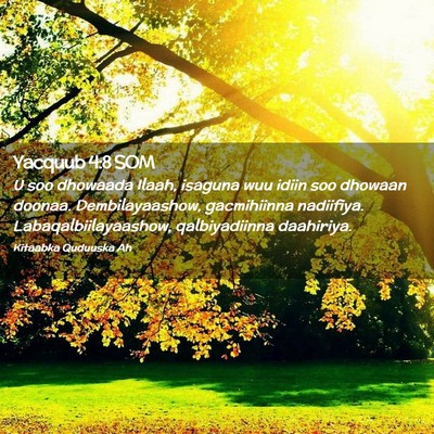 Picture 02 - Yacquub 4:8 SOM - U soo dhowaada Ilaah, isaguna wuu idiin soo - Bible Verse Picture