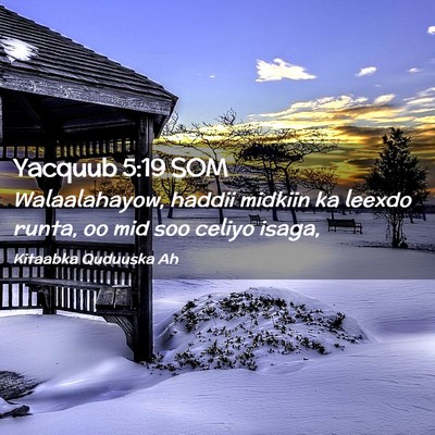 Picture 02 - Yacquub 5:19 SOM - Walaalahayow, haddii midkiin ka leexdo runta, oo - Bible Verse Picture