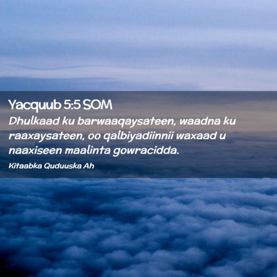 Picture 02 - Yacquub 5:5 SOM - Dhulkaad ku barwaaqaysateen, waadna ku - Bible Verse Picture