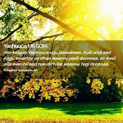Picture 02 - Yashuuca 1:16 SOM - Markaasay Yashuuca ugu jawaabeen, Kulli wixii aad - Bible Verse Picture