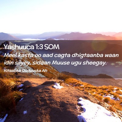 Picture 02 - Yashuuca 1:3 SOM - Meel kasta oo aad cagta dhigtaanba waan idin - Bible Verse Picture