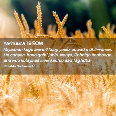Picture 02 - Yashuuca 1:9 SOM - Miyaanan kugu amrin? Xoog yeelo, oo aad u - Bible Verse Picture