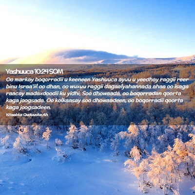 Picture 02 - Yashuuca 10:24 SOM - Oo markay boqorradii u keeneen Yashuuca ayuu u - Bible Verse Picture