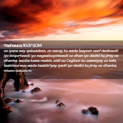 Picture 02 - Yashuuca 10:37 SOM - oo iyana way qabsadeen, oo waxay ku wada laayeen - Bible Verse Picture