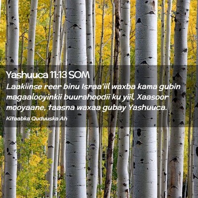 Picture 02 - Yashuuca 11:13 SOM - Laakiinse reer binu Israa'iil waxba kama gubin - Bible Verse Picture