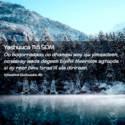 Picture 02 - Yashuuca 11:5 SOM - Oo boqorradaas oo dhammu way isu yimaadeen, oo - Bible Verse Picture