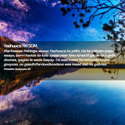 Picture 02 - Yashuuca 11:6 SOM - Markaasaa Rabbigu wuxuu Yashuuca ku yidhi, Ha ka - Bible Verse Picture