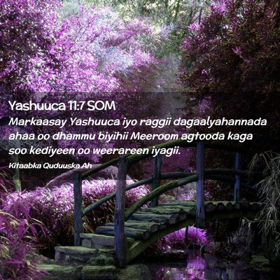 Picture 02 - Yashuuca 11:7 SOM - Markaasay Yashuuca iyo raggii dagaalyahannada - Bible Verse Picture
