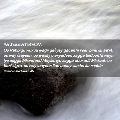 Picture 02 - Yashuuca 11:8 SOM - Oo Rabbigu wuxuu iyagii geliyey gacantii reer - Bible Verse Picture