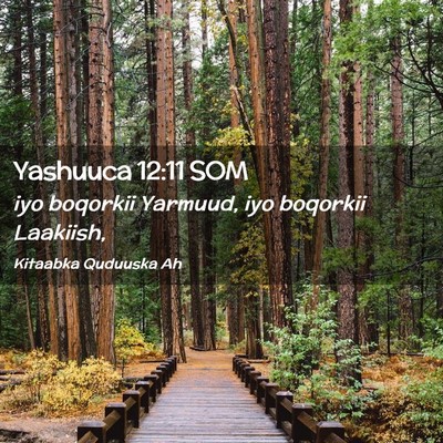 Picture 02 - Yashuuca 12:11 SOM - iyo boqorkii Yarmuud, iyo boqorkii - Bible Verse Picture