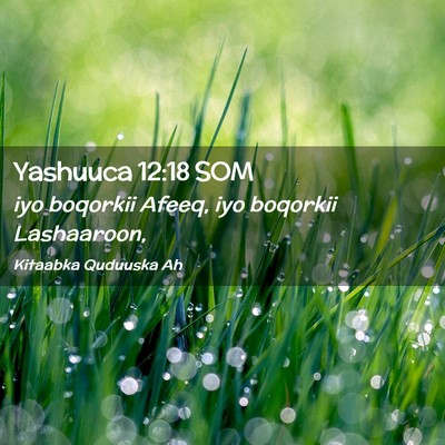 Picture 02 - Yashuuca 12:18 SOM - iyo boqorkii Afeeq, iyo boqorkii - Bible Verse Picture