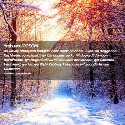 Picture 02 - Yashuuca 12:2 SOM - oo waxay ahaayeen boqorkii reer Amor oo ahaa - Bible Verse Picture