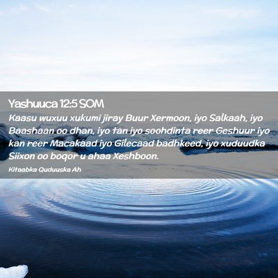 Picture 02 - Yashuuca 12:5 SOM - Kaasu wuxuu xukumi jiray Buur Xermoon, iyo - Bible Verse Picture