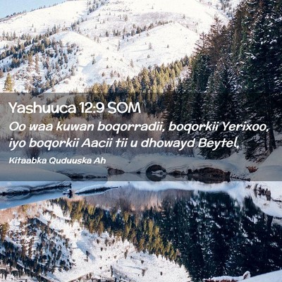 Picture 02 - Yashuuca 12:9 SOM - Oo waa kuwan boqorradii, boqorkii Yerixoo, iyo - Bible Verse Picture