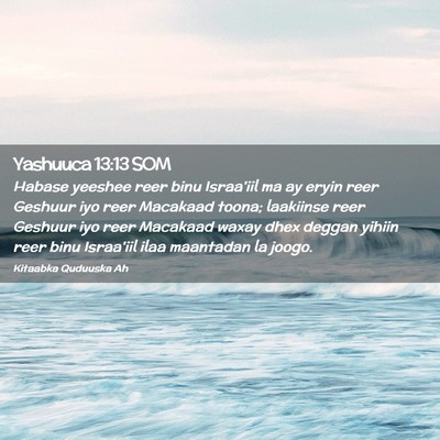 Picture 02 - Yashuuca 13:13 SOM - Habase yeeshee reer binu Israa'iil ma ay eryin - Bible Verse Picture