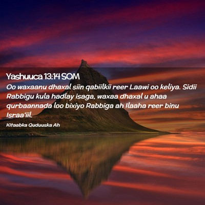 Picture 02 - Yashuuca 13:14 SOM - Oo waxaanu dhaxal siin qabiilkii reer Laawi oo - Bible Verse Picture