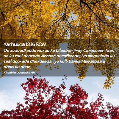 Picture 02 - Yashuuca 13:16 SOM - Oo xuduudkoodu wuxuu ka bilaaban jiray Carooceer - Bible Verse Picture