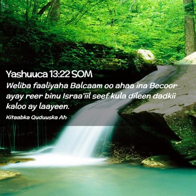 Picture 02 - Yashuuca 13:22 SOM - Weliba faaliyaha Balcaam oo ahaa ina Becoor ayay - Bible Verse Picture