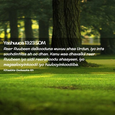 Picture 02 - Yashuuca 13:23 SOM - Reer Ruubeen dalkooduna wuxuu ahaa Urdun, iyo - Bible Verse Picture