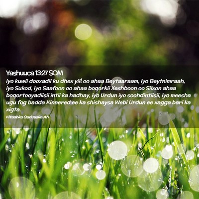 Picture 02 - Yashuuca 13:27 SOM - iyo kuwii dooxadii ku dhex yiil oo ahaa - Bible Verse Picture