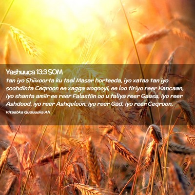 Picture 02 - Yashuuca 13:3 SOM - tan iyo Shiixoorta ku taal Masar horteeda, iyo - Bible Verse Picture
