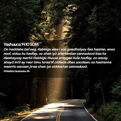 Picture 02 - Yashuuca 14:10 SOM - Oo haddaba bal eeg, Rabbigu waa i soo gaadhsiiyey - Bible Verse Picture