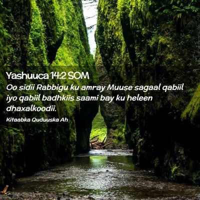 Picture 02 - Yashuuca 14:2 SOM - Oo sidii Rabbigu ku amray Muuse sagaal qabiil iyo - Bible Verse Picture