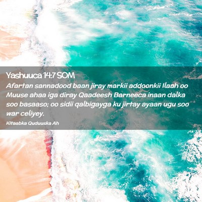 Picture 02 - Yashuuca 14:7 SOM - Afartan sannadood baan jiray markii addoonkii - Bible Verse Picture