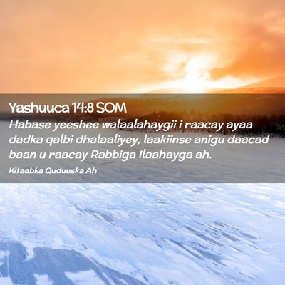 Picture 02 - Yashuuca 14:8 SOM - Habase yeeshee walaalahaygii i raacay ayaa dadka - Bible Verse Picture