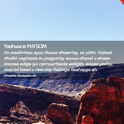 Picture 02 - Yashuuca 14:9 SOM - Oo maalintaas ayuu Muuse dhaartay, oo yidhi, - Bible Verse Picture