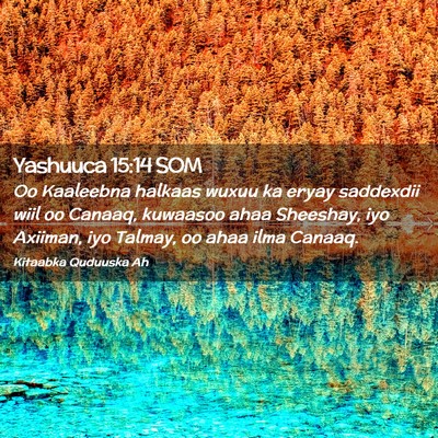 Picture 02 - Yashuuca 15:14 SOM - Oo Kaaleebna halkaas wuxuu ka eryay saddexdii - Bible Verse Picture