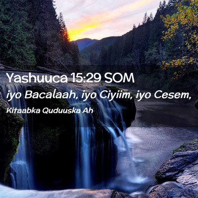 Picture 02 - Yashuuca 15:29 SOM - iyo Bacalaah, iyo Ciyiim, iyo - Bible Verse Picture