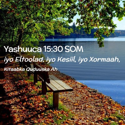 Picture 02 - Yashuuca 15:30 SOM - iyo Eltoolad, iyo Kesiil, iyo - Bible Verse Picture