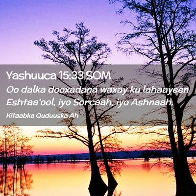 Picture 02 - Yashuuca 15:33 SOM - Oo dalka dooxadana waxay ku lahaayeen Eshtaa'ool, - Bible Verse Picture