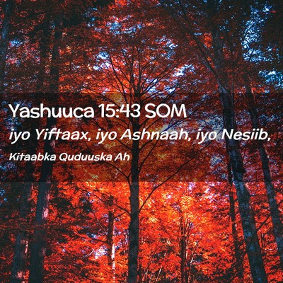 Picture 02 - Yashuuca 15:43 SOM - iyo Yiftaax, iyo Ashnaah, iyo - Bible Verse Picture