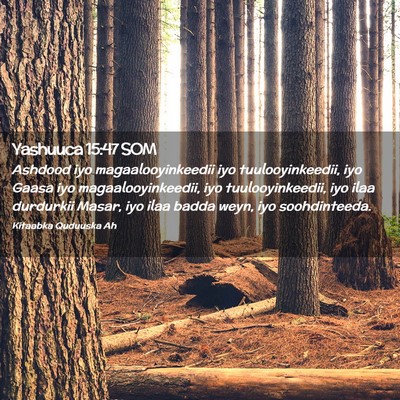 Picture 02 - Yashuuca 15:47 SOM - Ashdood iyo magaalooyinkeedii iyo - Bible Verse Picture