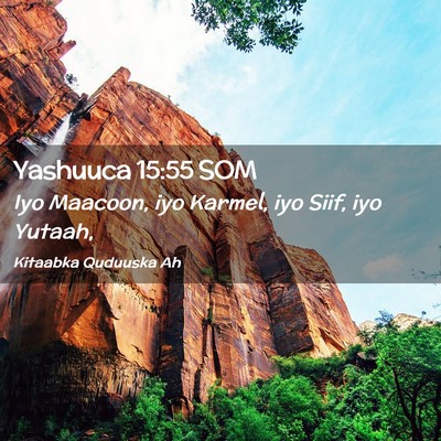 Picture 02 - Yashuuca 15:55 SOM - Iyo Maacoon, iyo Karmel, iyo Siif, iyo - Bible Verse Picture